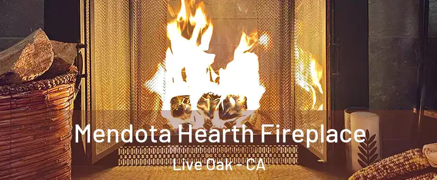  Mendota Hearth Fireplace Live Oak - CA