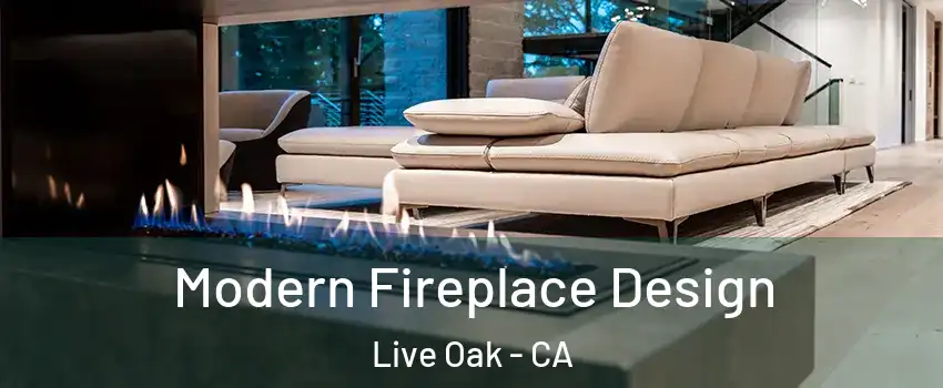  Modern Fireplace Design Live Oak - CA