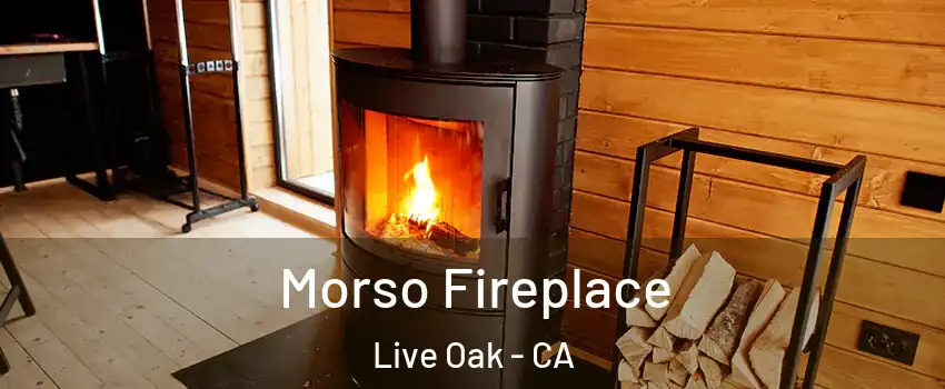  Morso Fireplace Live Oak - CA