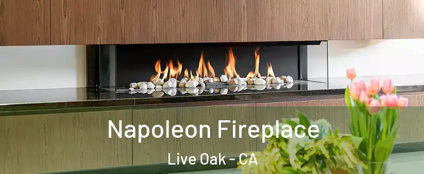 Napoleon Fireplace Live Oak - CA
