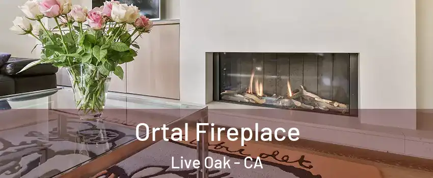  Ortal Fireplace Live Oak - CA