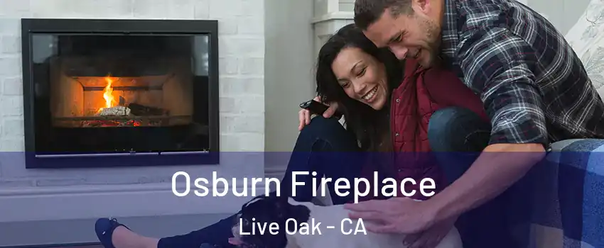 Osburn Fireplace Live Oak - CA