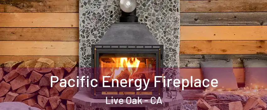 Pacific Energy Fireplace Live Oak - CA