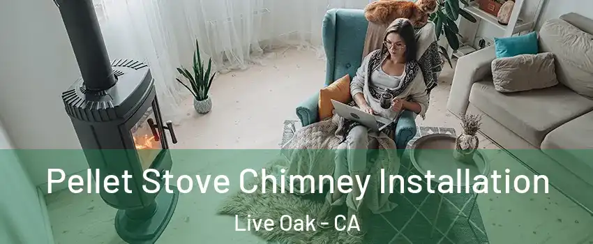 Pellet Stove Chimney Installation Live Oak - CA