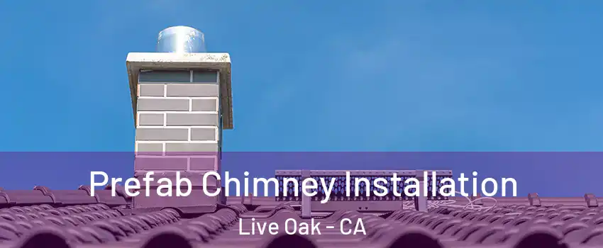  Prefab Chimney Installation Live Oak - CA