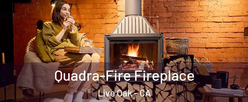  Quadra-Fire Fireplace Live Oak - CA