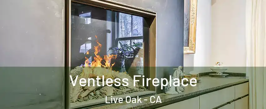  Ventless Fireplace Live Oak - CA